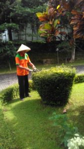 gardening service