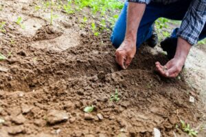 Read more about the article Apa Saja Alat yang Diperlukan untuk Gardening?