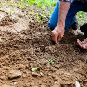 Apa Saja Alat yang Diperlukan untuk Gardening?