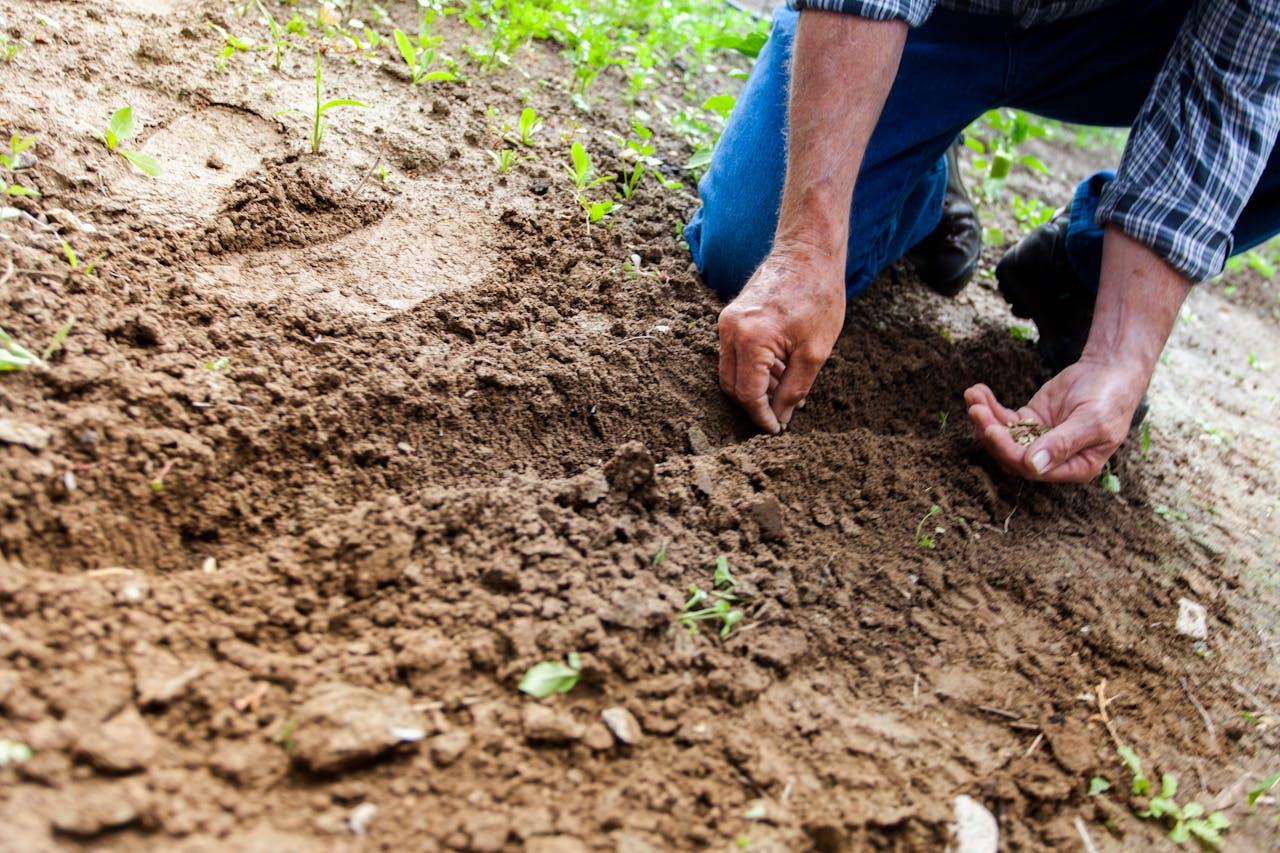 You are currently viewing Apa Saja Alat yang Diperlukan untuk Gardening?