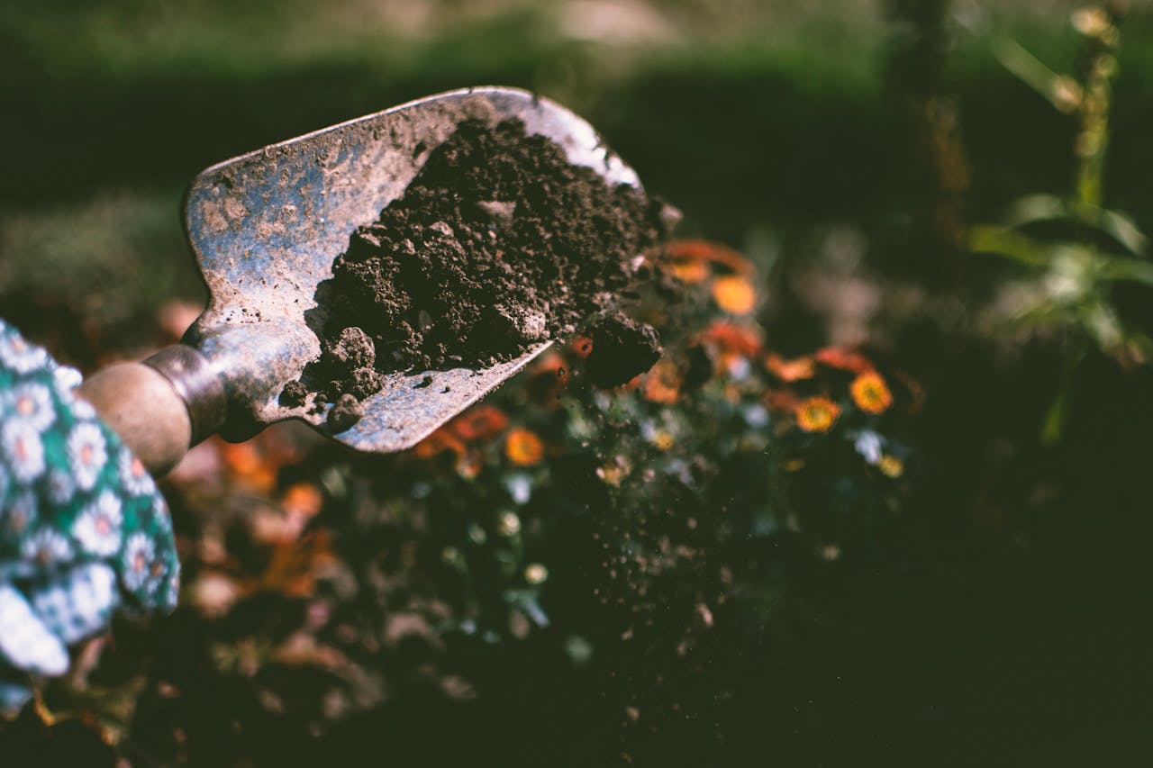 alat yang diperlukan untuk gardening